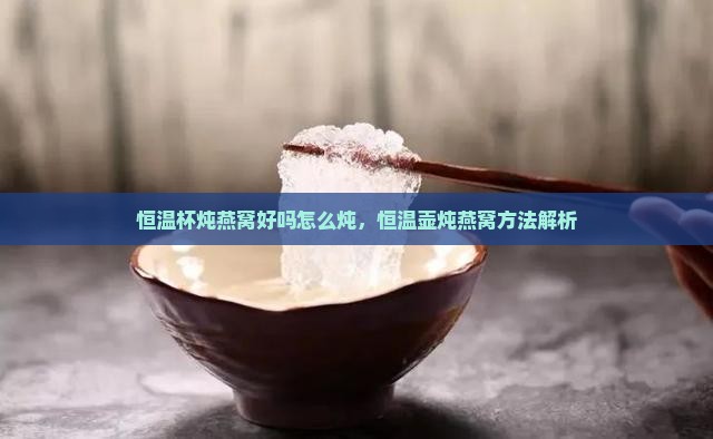 恒温杯炖燕窝好吗怎么炖，恒温壶炖燕窝方法解析