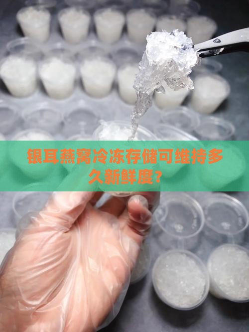 银耳燕窝冷冻存储可维持多久新鲜度？