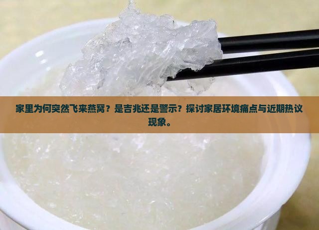 家里为何突然飞来燕窝？是吉兆还是警示？探讨家居环境痛点与近期热议现象。