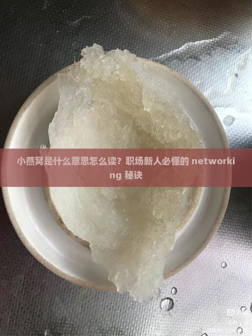 小燕窝是什么意思怎么读？职场新人必懂的 networking 秘诀