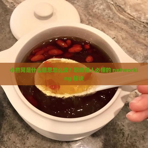小燕窝是什么意思怎么读？职场新人必懂的 networking 秘诀