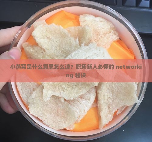 小燕窝是什么意思怎么读？职场新人必懂的 networking 秘诀