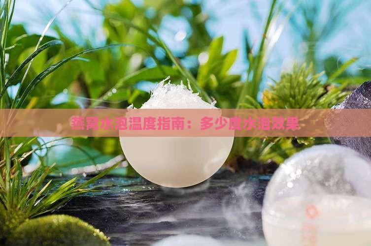 燕窝水泡温度指南：多少度水泡效果