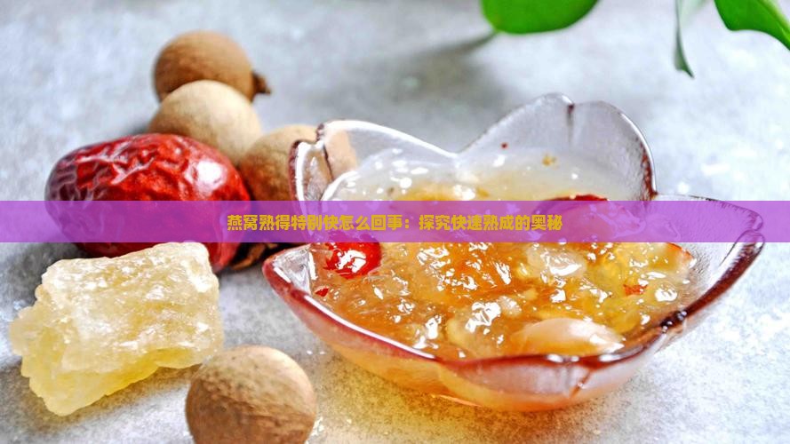 燕窝熟得特别快怎么回事：探究快速熟成的奥秘
