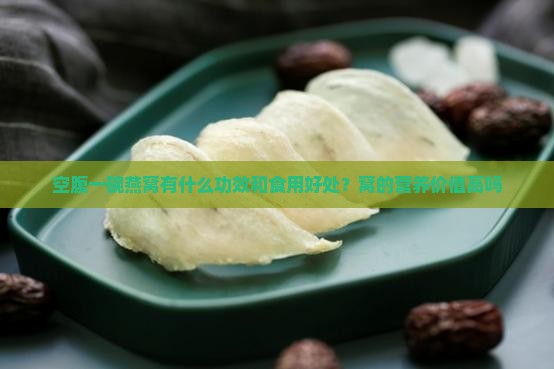 空腹一碗燕窝有什么功效和食用好处？窝的营养价值高吗