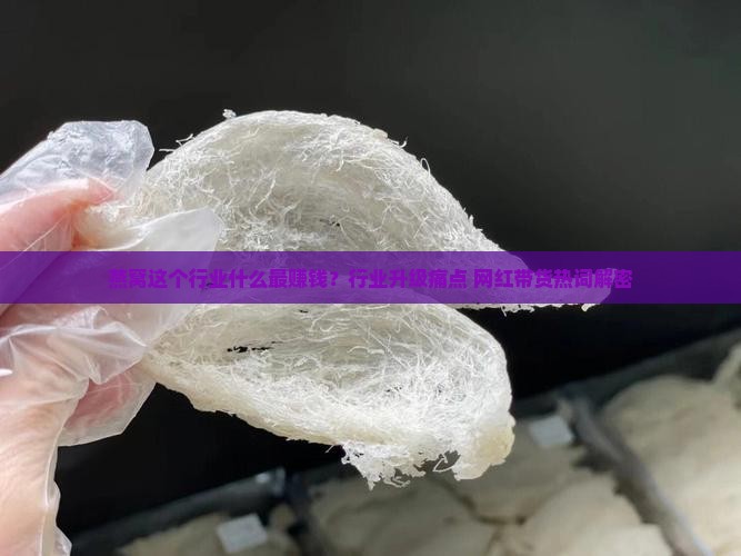 燕窝这个行业什么最赚钱？行业升级痛点+网红带货热词解密