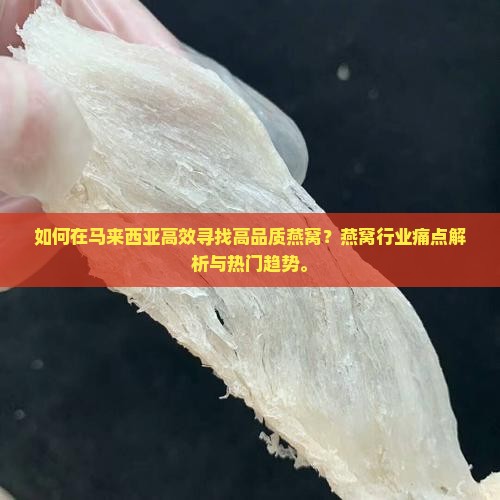 如何在马来西亚高效寻找高品质燕窝？燕窝行业痛点解析与热门趋势。