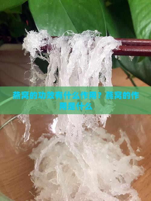 燕窝的功效有什么作用？燕窝的作用是什么