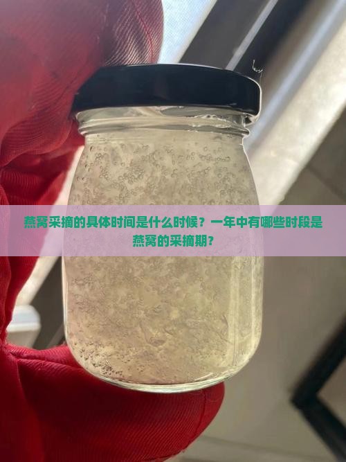 燕窝采摘的具体时间是什么时候？一年中有哪些时段是燕窝的采摘期？