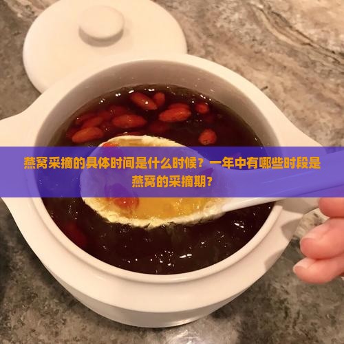 燕窝采摘的具体时间是什么时候？一年中有哪些时段是燕窝的采摘期？
