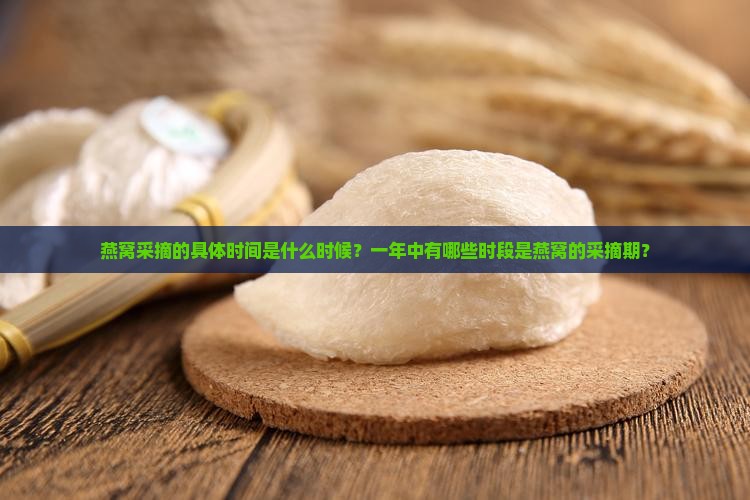 燕窝采摘的具体时间是什么时候？一年中有哪些时段是燕窝的采摘期？