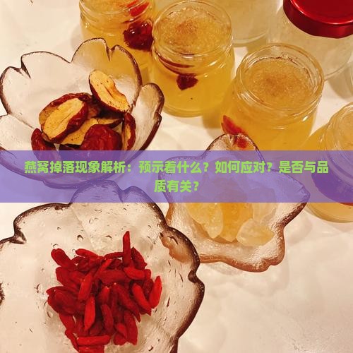 燕窝掉落现象解析：预示着什么？如何应对？是否与品质有关？