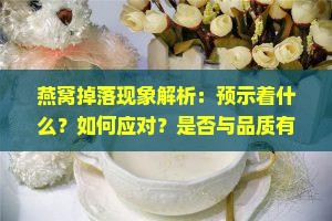 燕窝掉落现象解析：预示着什么？如何应对？是否与品质有关？