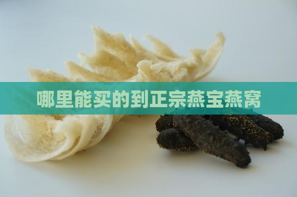 哪里能买的到正宗燕宝燕窝