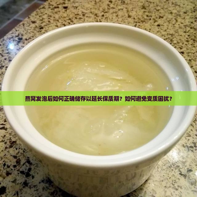 燕窝发泡后如何正确储存以延长保质期？如何避免变质困扰？