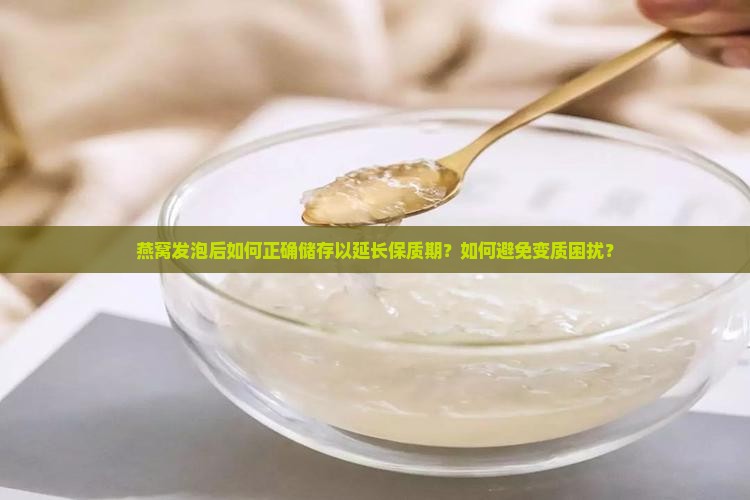 燕窝发泡后如何正确储存以延长保质期？如何避免变质困扰？