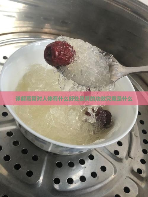 详解燕窝对人体有什么好处及窝的功效究竟是什么
