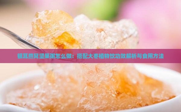 银耳燕窝坚果粥怎么做：搭配大枣植物饮功效解析与食用方法