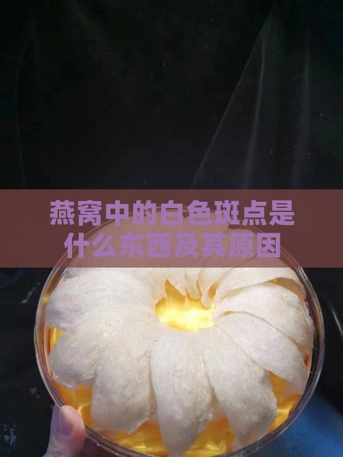 燕窝中的白色斑点是什么东西及其原因