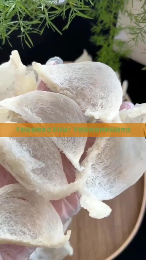 干燕窝能放多久不坏掉？干燕窝的储存时间和方法