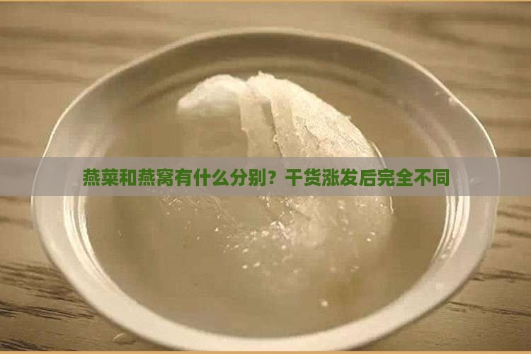 燕菜和燕窝有什么分别？干货涨发后完全不同