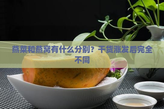 燕菜和燕窝有什么分别？干货涨发后完全不同