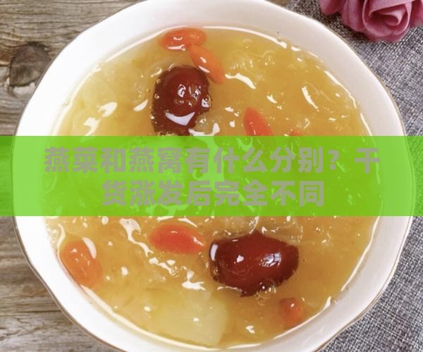 燕菜和燕窝有什么分别？干货涨发后完全不同
