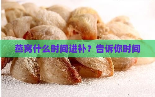 燕窝什么时间进补？告诉你时间