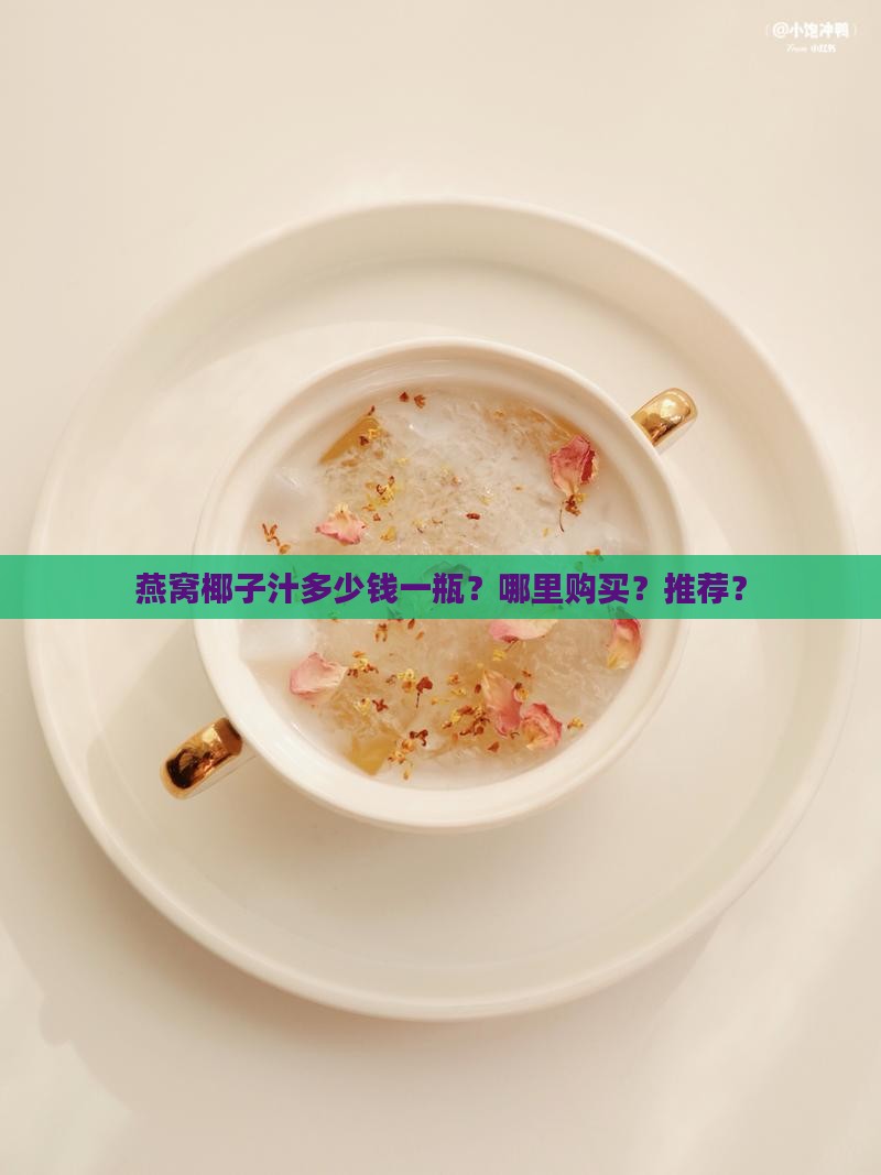 燕窝椰子汁多少钱一瓶？哪里购买？推荐？