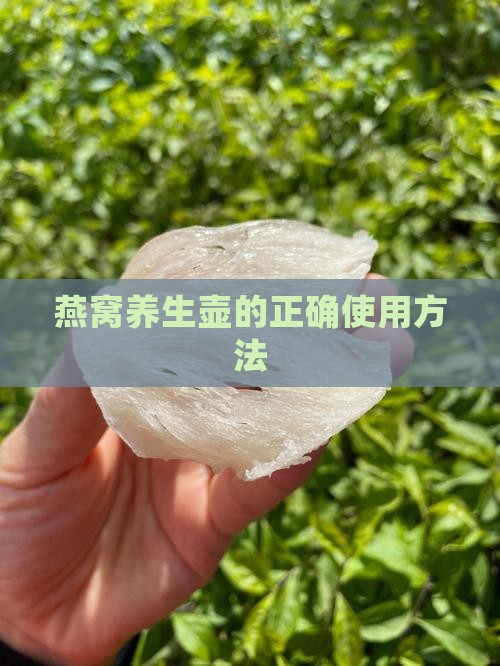 燕窝养生壶的正确使用方法