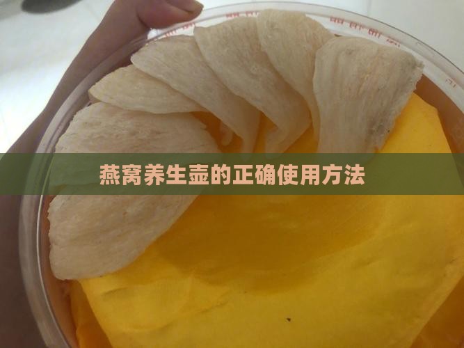 燕窝养生壶的正确使用方法