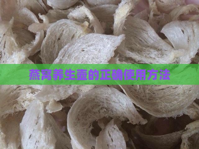 燕窝养生壶的正确使用方法
