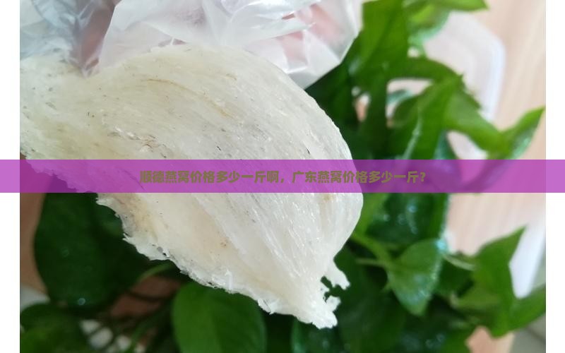 顺德燕窝价格多少一斤啊，广东燕窝价格多少一斤？