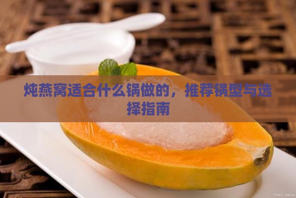 炖燕窝适合什么锅做的，推荐锅型与选择指南
