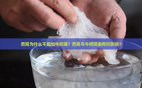 燕窝为什么不能加牛奶喝？燕窝与牛奶同食有何影响？
