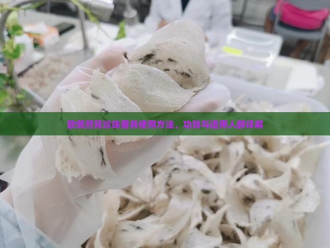 欧佩燕窝珍珠奢养使用方法、功效与适用人群详解