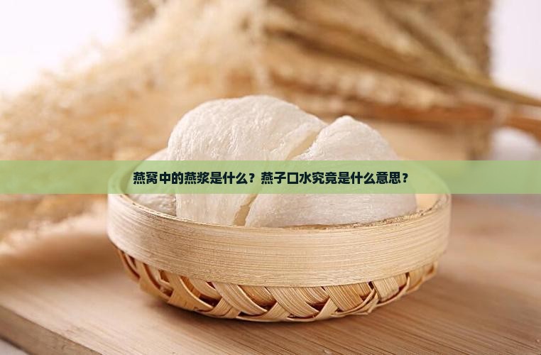 燕窝中的燕浆是什么？燕子口水究竟是什么意思？