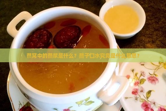 燕窝中的燕浆是什么？燕子口水究竟是什么意思？