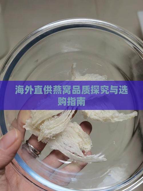 海外直供燕窝品质探究与选购指南