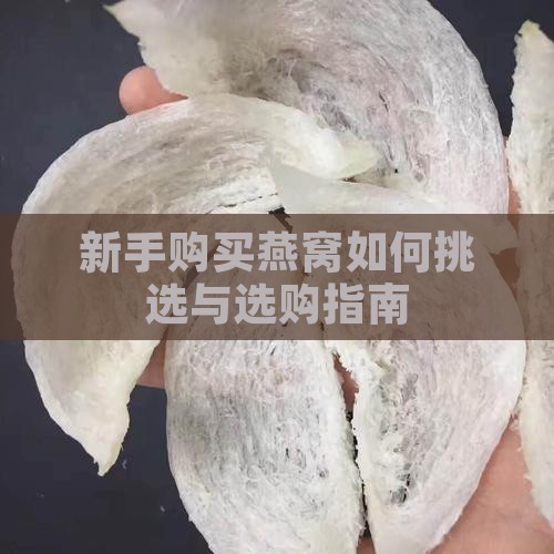 新手购买燕窝如何挑选与选购指南