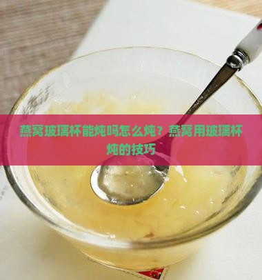 燕窝玻璃杯能炖吗怎么炖？燕窝用玻璃杯炖的技巧