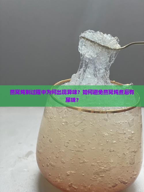 燕窝炖制过程中为何出现异味？如何避免燕窝炖煮后有屎味？