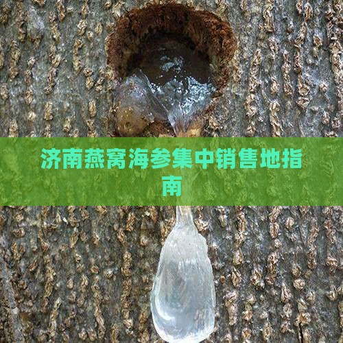 济南燕窝海参集中销售地指南