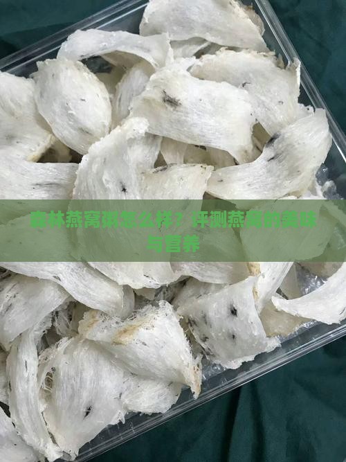 森林燕窝粥怎么样？评测燕窝的美味与营养