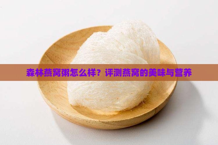 森林燕窝粥怎么样？评测燕窝的美味与营养