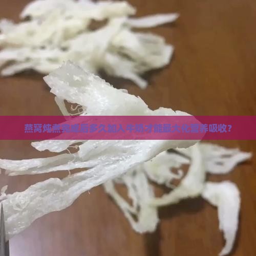 燕窝炖煮完成后多久加入牛奶才能最大化营养吸收？