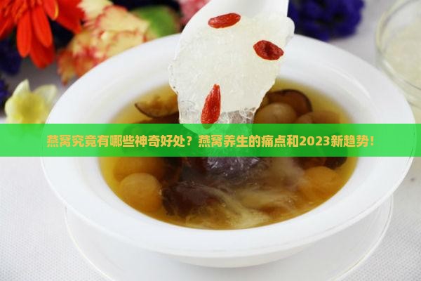 燕窝究竟有哪些神奇好处？燕窝养生的痛点和2023新趋势！