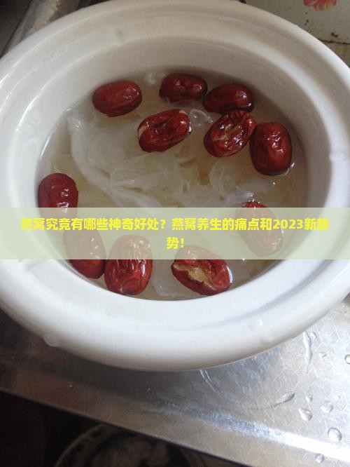 燕窝究竟有哪些神奇好处？燕窝养生的痛点和2023新趋势！