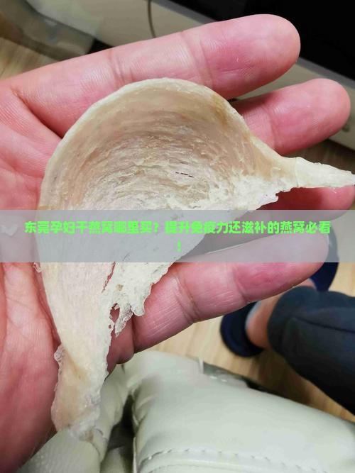 东莞孕妇干燕窝哪里买？提升免疫力还滋补的燕窝必看！