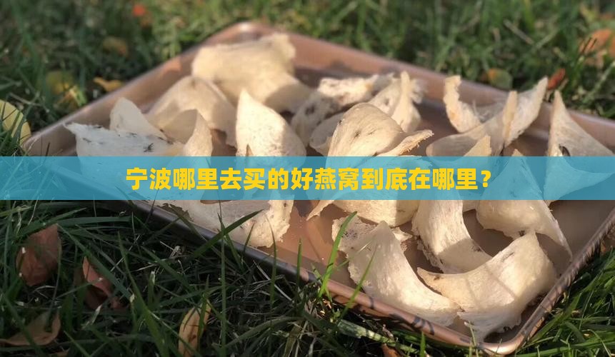 宁波哪里去买的好燕窝到底在哪里？